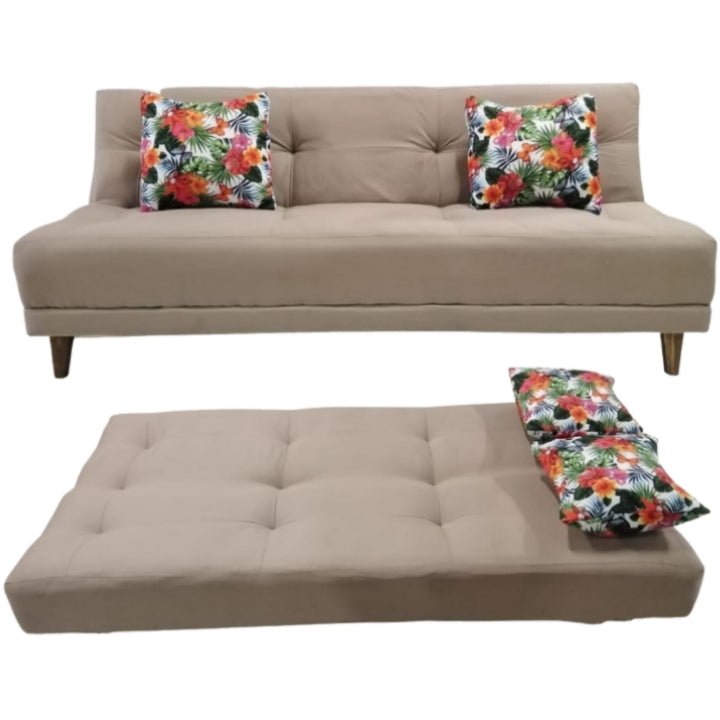 Sleek Sleeper Couch - That Couch Place