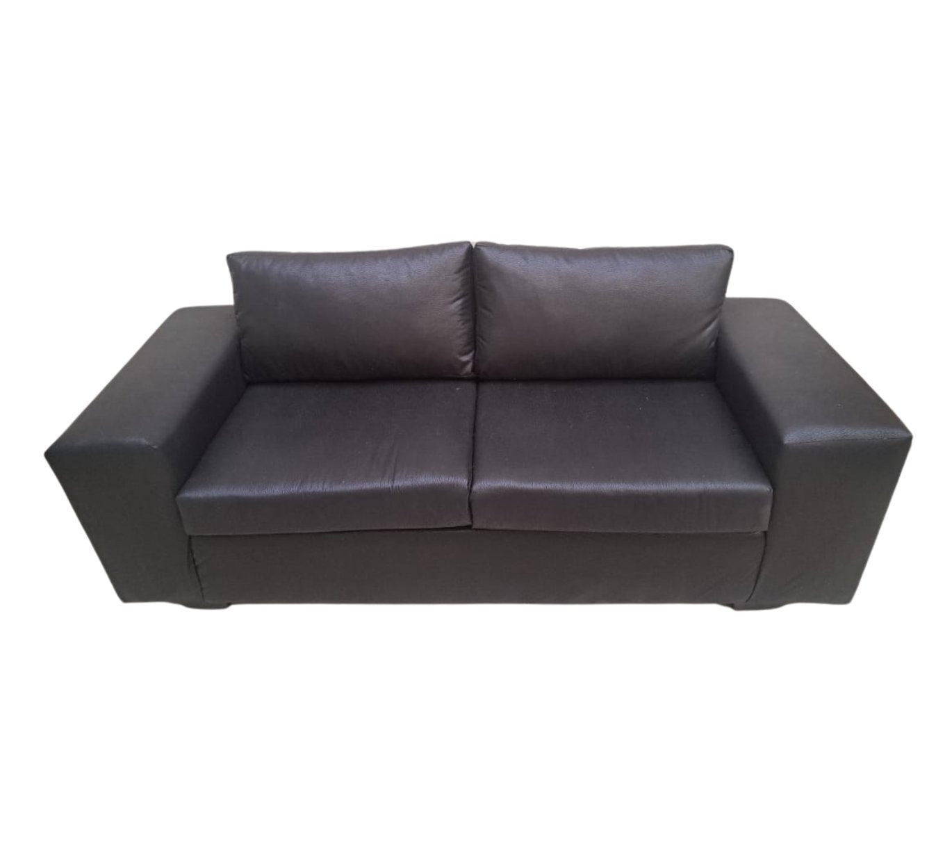 Lion 2 Seater Couch - That Couch Place