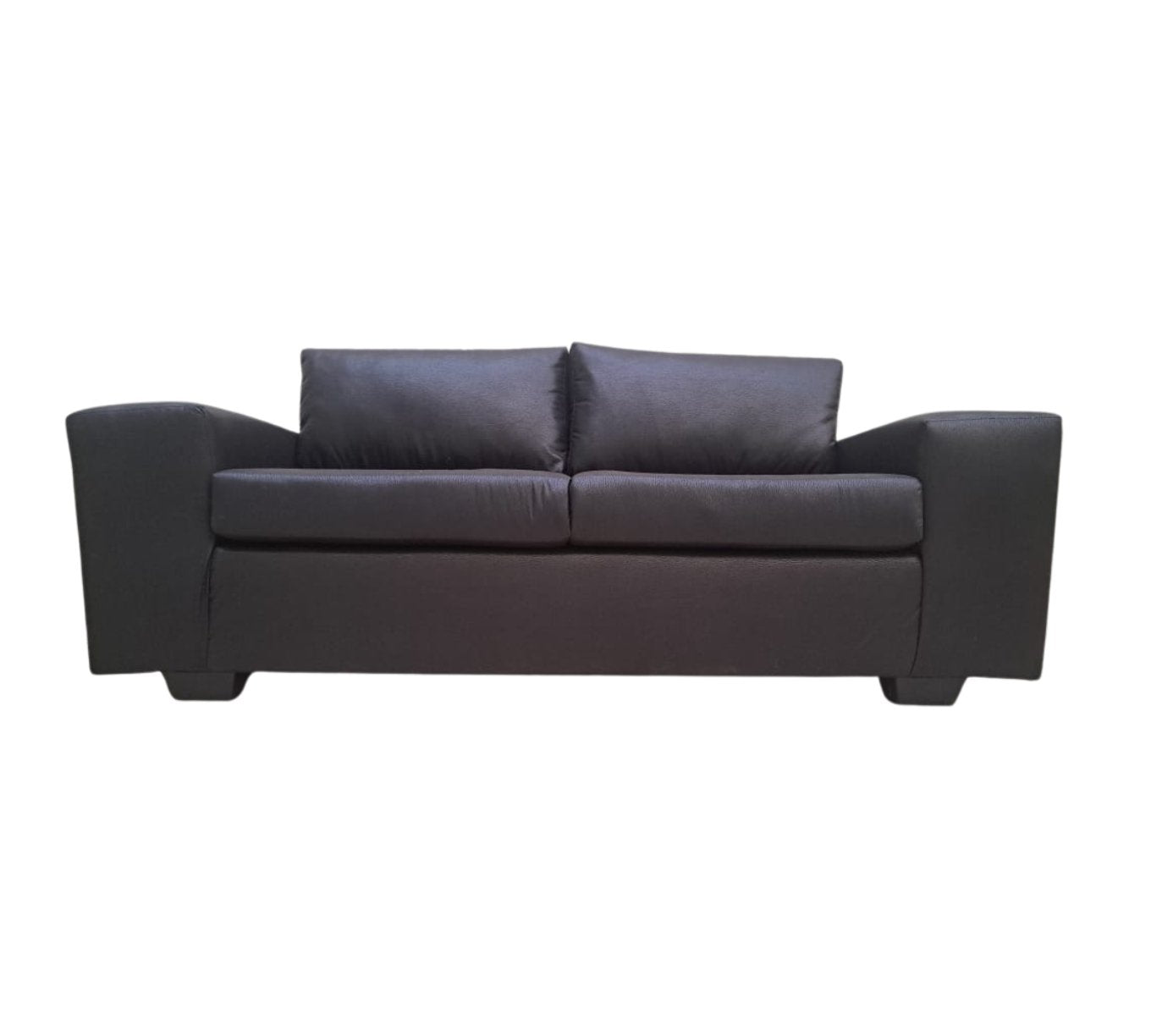 Lion 2 Seater Couch - That Couch Place