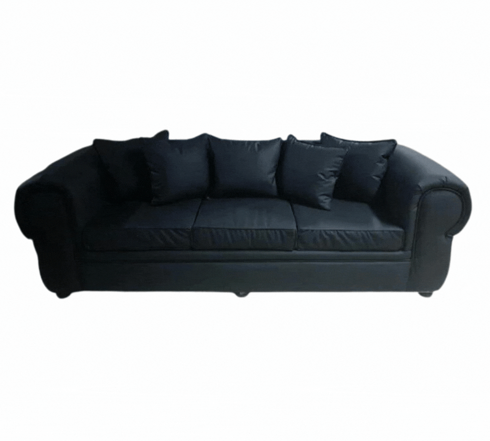 Lounge Suite Rolled arm, loose cushion. That Couch Place