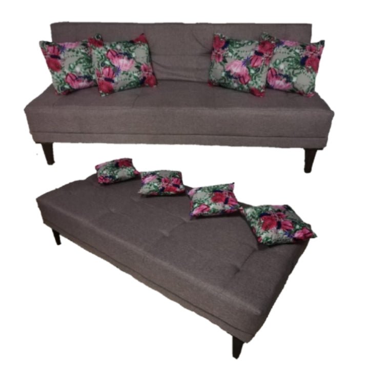 Sleek Sleeper Couch - That Couch Place