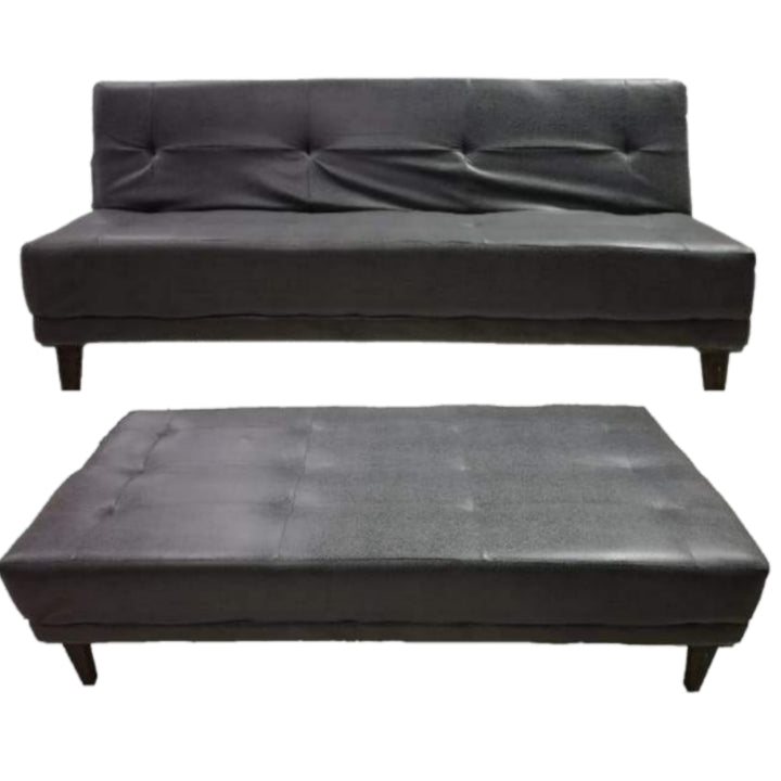 Sleek Sleeper Couch - That Couch Place
